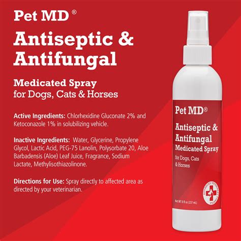  Usually, your pet will need daily antibiotics and antifungals