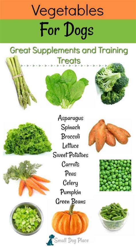  Vegetables that are raw to feed to your dog raw include carrots, broccoli, pumpkin, green beans and asparagus