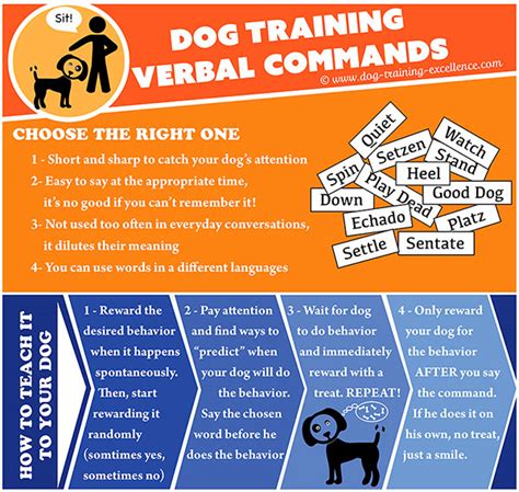  Verbal commands can be confusing because the human voice has many tonal variations, whereas the clicker consistently makes a sound that your dog will not confuse with any other noise
