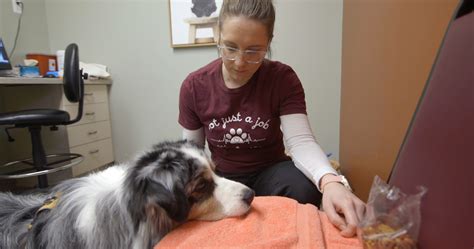  Vet Trained Goals— They will continue with their weekly vet visits