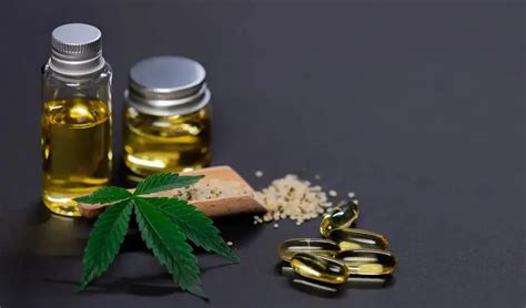  Veterinarians are becoming increasingly knowledgeable about CBD oil