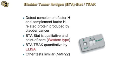  Veterinary bladder tumor antigen test VBTA : this is a specific test to check for bladder cancer