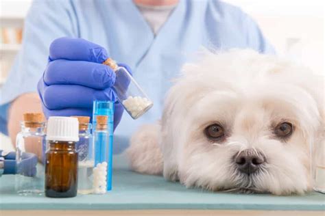  Veterinary compounding is a very specialized field requiring extensive training, equipment, and chemicals not found in traditional pharmacies