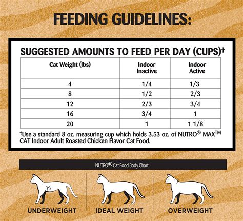  Vets recommend about 2 to 3 cups of high-quality dry food per day for two meals