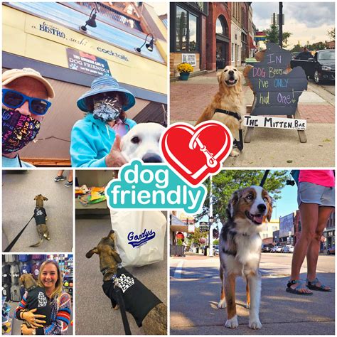  Visit Pet-Friendly Businesses Colorado has a number of pet-friendly businesses, including restaurants, hotels, and stores