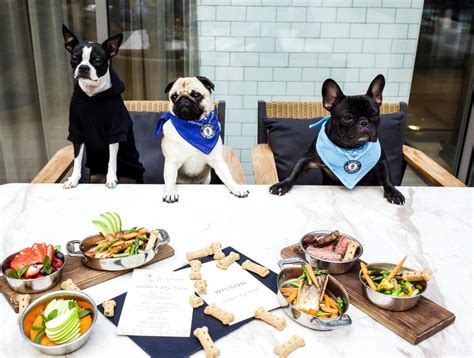  Visit Pet-Friendly Businesses New York has a number of pet-friendly businesses, including restaurants, hotels, and stores