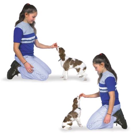  Wait for your puppy to comply and when he does, give him a big reward and end the training session