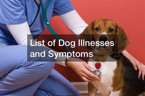  Watching your dog go through chronic illnesses can be time-consuming, expensive, and definitely pulls on your heartstrings
