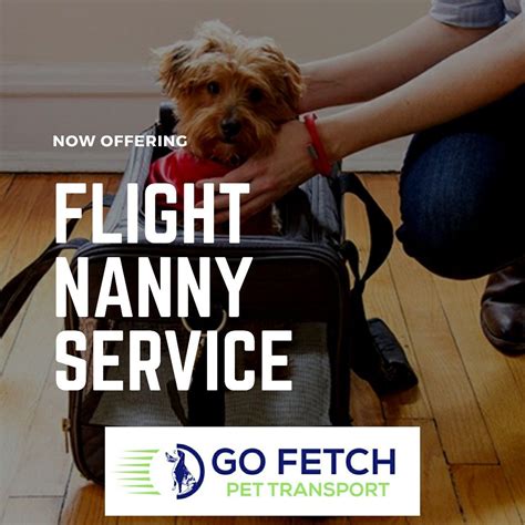  We also have a pet nanny service that will fly your puppy to an airport near you, and ground delivery that will deliver your puppy right to your doorstep and another service that will meet you near your home