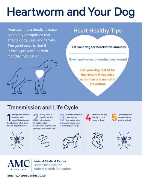  We also include your first month of heart-worm and flea prevention to get you started