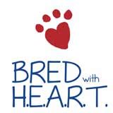  We are a Bred with Heart breeder