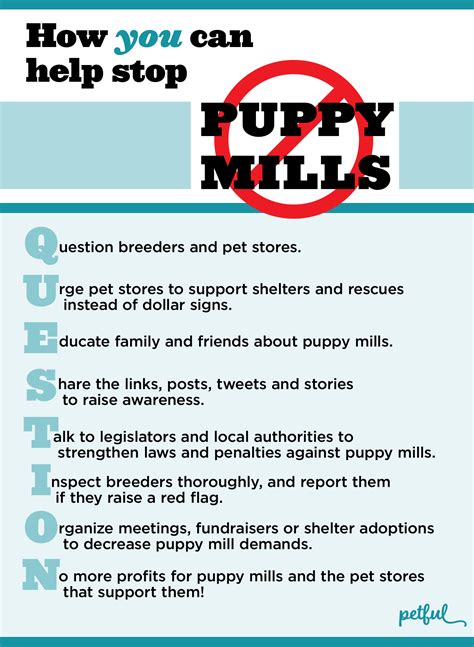  We are a local breeder, not a puppy mill