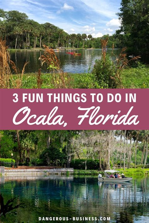  We are located in the beautiful sunshine state of Florida in Ocala