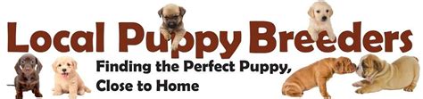  We are so happy that you have chosen Local Puppy Breeders to help you find the puppy of your dreams