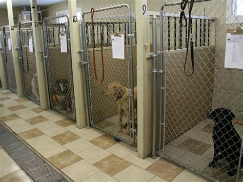  We do not have a kennel facility
