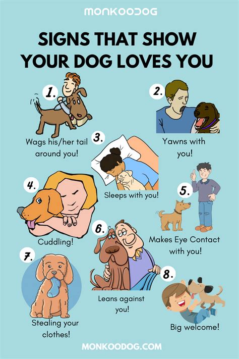  We have all the updates, tips and information you need to shower your dog with the love and care they deserve