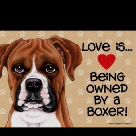  We have been owned by boxers for more than 20 years