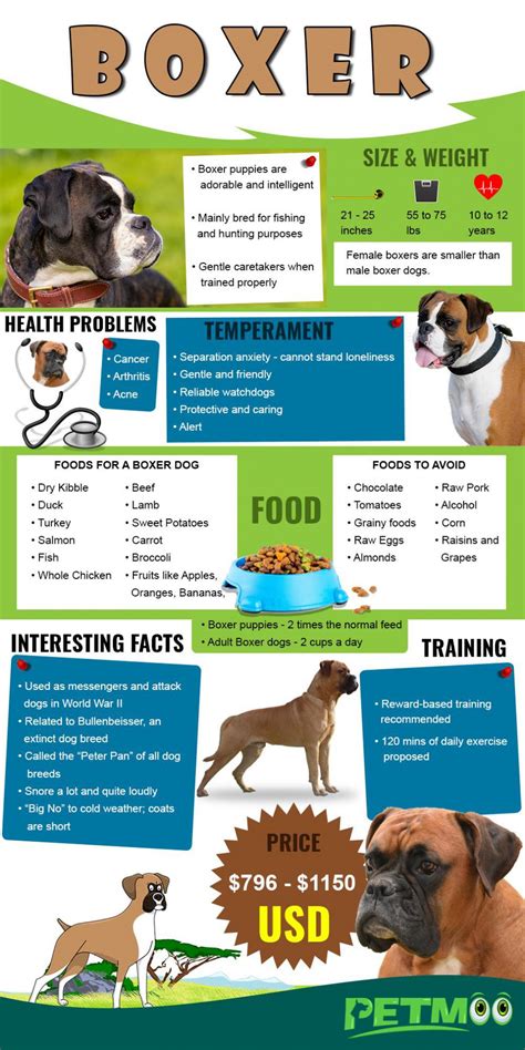  We have included a Boxer puppy feeding chart to help you take care of this breed