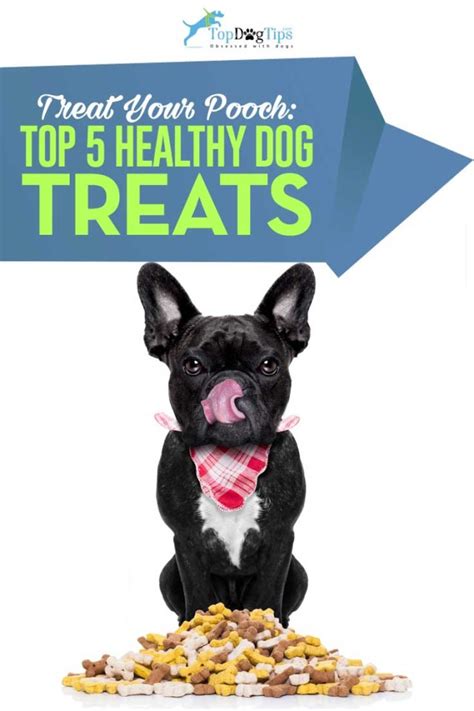  We keenly put together every aspect of the treats to provide every dog with the best experience possible