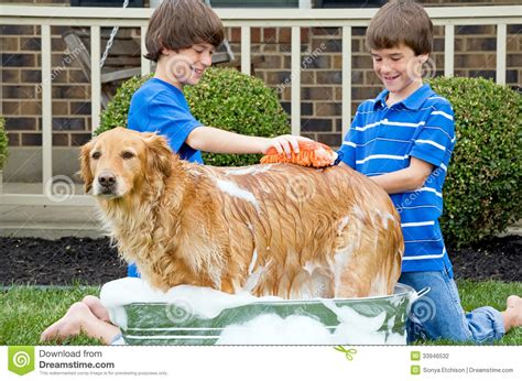  We look forward to helping pair you with your new best friend! LinkedIn Giving your dog a bath is an important part of his grooming routine