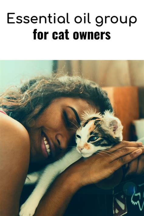  We looked for oils that cat owners found effective