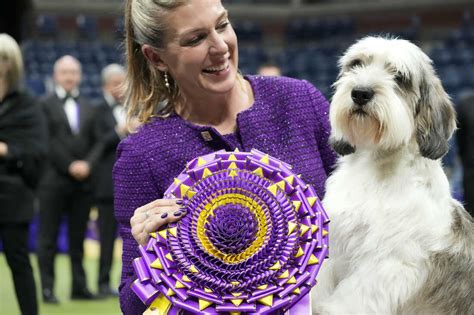  We lost contact over the years but I was so excited to see her virtually as she won the Westminster Dog Show with her dog, Siba