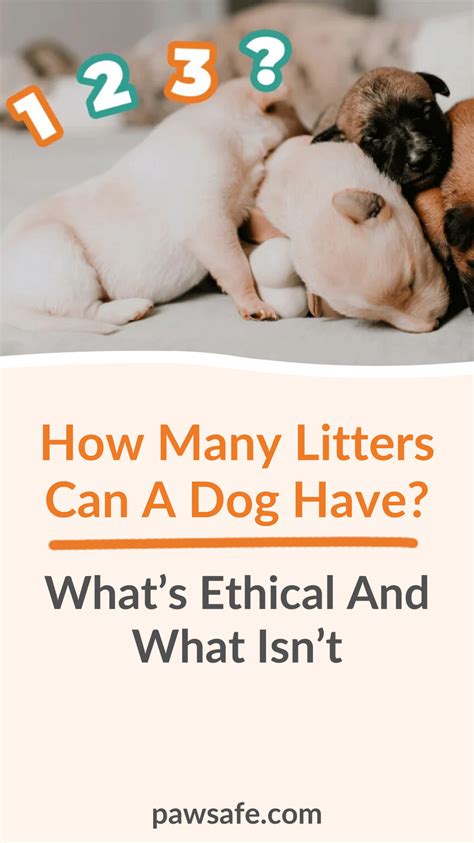  We only average litters per year so quality is at a premium