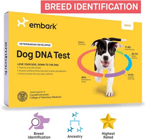  We provide dogs which are healthy, DNA tested and …