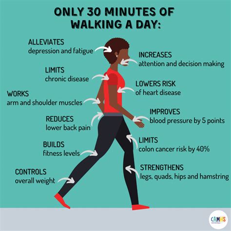  We recommend 30 minutes of activity per day and about 2 miles walking per week