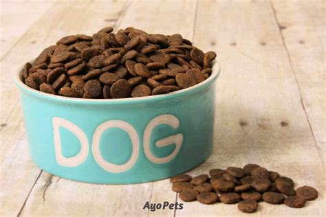  We recommend doing some research to provide good quality kibble to your dog