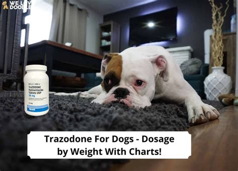 We recommend mg per 10 pounds of weight, so larger dogs will end up needing more CBD that smaller dogs