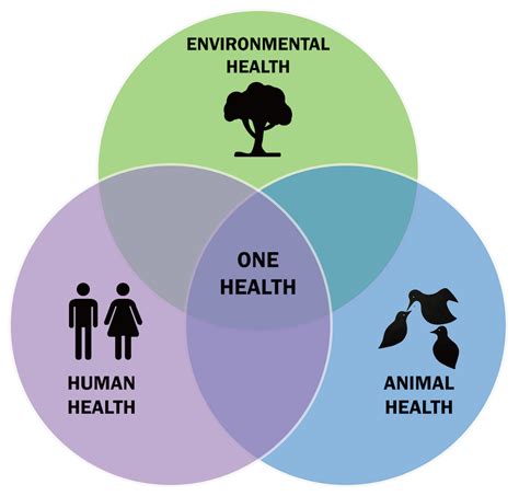  We suggest, in accord with the One Health Initiative, that a better model for human disease can be found in domestic pets, with naturally occurring diseases who share the human environment so the disease mechanisms and features have a higher chance of simulating the human equivalent