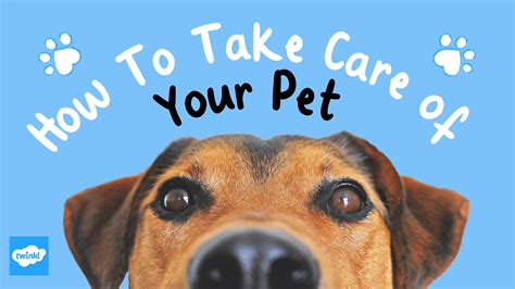  We take these steps because we know what you give your pet matters to you