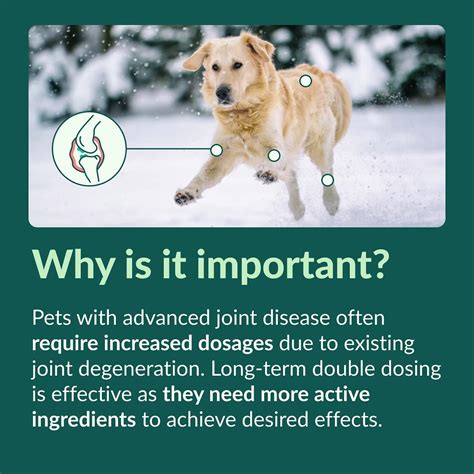  We understand that each dog is unique and may require different dosages, so we offer our dog CBD oil in two strengths: 8