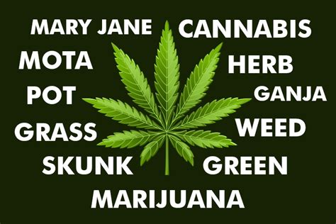  Weed is a slang term for marijuana