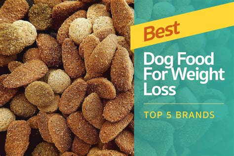  Weight loss Dogs with IBD may lose weight due to their inability to absorb nutrients from their food