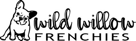  Welcome to Wild Willow Frenchies
