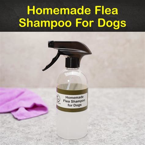  Wet your dog with warm water, spray on shampoo and work into his coat, especially in harder to reach places, making sure not to get any in his eyes