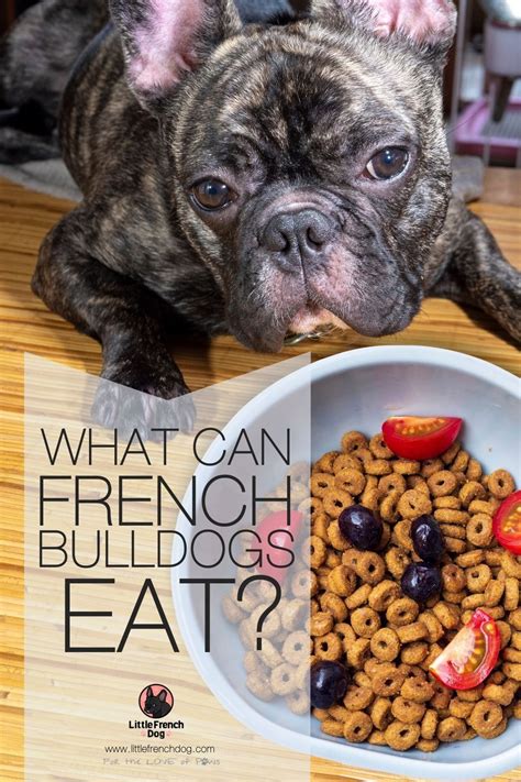  What Diet Should French Dogs Eat to Avoid Diarrhea French bulldogs, unfortunately, have a predisposition for different allergens in food, which is why they aren