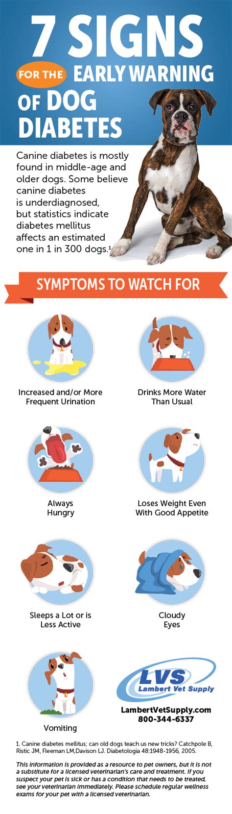  What happens if diabetes is left untreated in dogs? If diabetes is left untreated in dogs, it can have serious and potentially fatal consequences