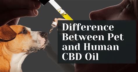  What is the difference between pet cbd oil and human cbd oil? However, CBD oil for pets is specially formulated for optimum concentration levels, taste appeal and easy delivery methods, like treats and tasty tinctures designed to make dosing your pet easy