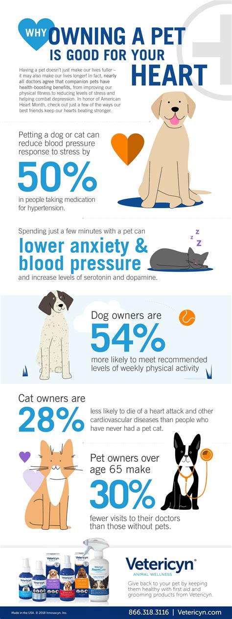  What state of health is your dog in? This comes down to what your goals are for your pet