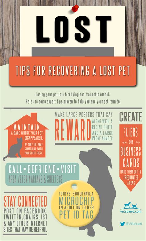  What to Do When You Find a Pet Finding a lost pet can be a stressful and emotional experience for both the pet and the person who finds them