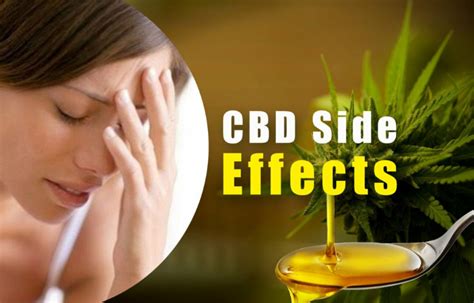  When CBD side effects do occur, they tend to be minor and can include lethargy, dry mouth, diarrhea, and lack of appetite