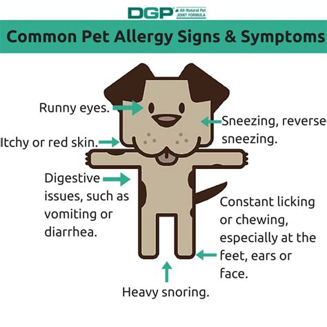  When a dog has regular allergen exposure, the signs of an allergic reaction in dogs frequently appear gradually
