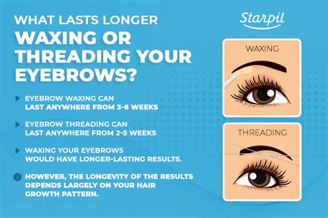  When alert, they are level with the eyebrows or just under the eyebrow line