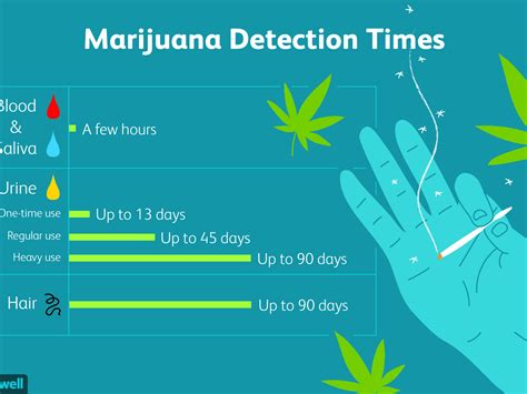  When cannabis is consumed, THC levels will rise in your body that are detectable from several hours to several days after consuming cannabis