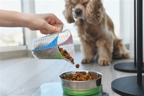  When choosing dog food, consider factors such as your dog