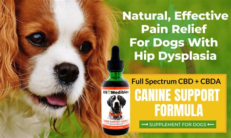  When choosing the best CBD oil for dogs with hip dysplasia, it is important to select a high-quality product that uses organic, non-GMO, and natural ingredients