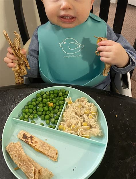  When he reaches one year old, switch to quality adult food